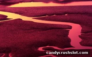 彩票组合与排列深度解析：糖果派对电子游艺下载带你探索概率世界