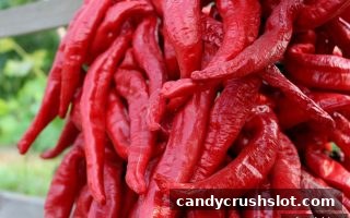 电子游艺参数设置与评估精要：糖果派对电子游艺下载助你掌控游戏节奏