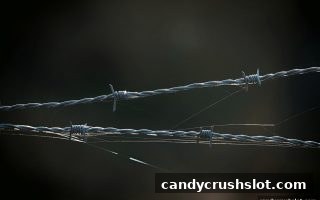 糖果派对电子游艺下载：构筑玩家信赖的在线娱乐安全体系