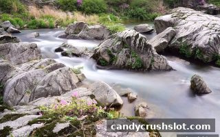 糖果派对电子游艺下载焦点：CQ9电子世界杯直播体验与平台评测深度解析